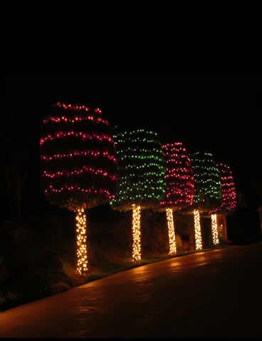 Christmas Light Installers by HolidayIllumination.com, Las Vegas, NV