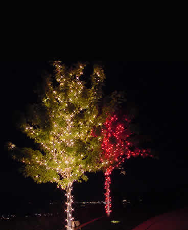 Christmas Light Installers by HolidayIllumination.com, Las Vegas, NV